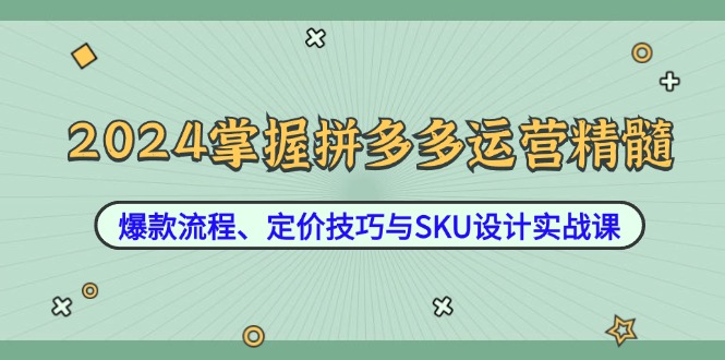 2024掌握拼多多运营精髓：爆款流程、定价技巧与SKU设计实战课-创业网 - 最新网络创业项目与实战营销教程平台 | cye.cc
