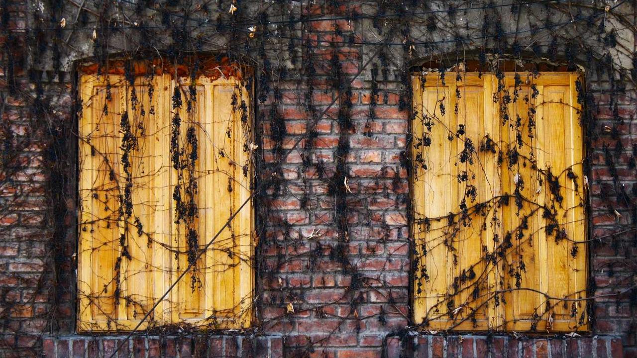 图片[2]-创业网：助力创新与商业模式转型的数字平台-创业网 - 最新网络创业项目与实战营销教程平台 | cye.cc