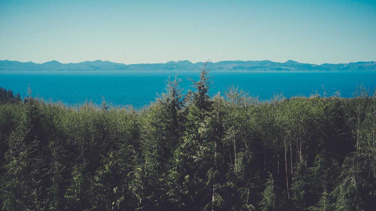 图片[2]-创业网：揭示数字时代下的创新商业机会与挑战-创业网 - 最新网络创业项目与实战营销教程平台 | cye.cc