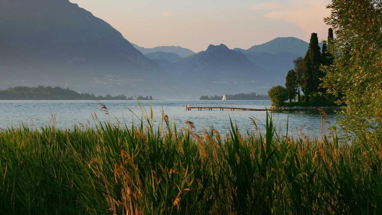 图片[3]-创业网：揭示数字时代下的创新商业机会与挑战-创业网 - 最新网络创业项目与实战营销教程平台 | cye.cc