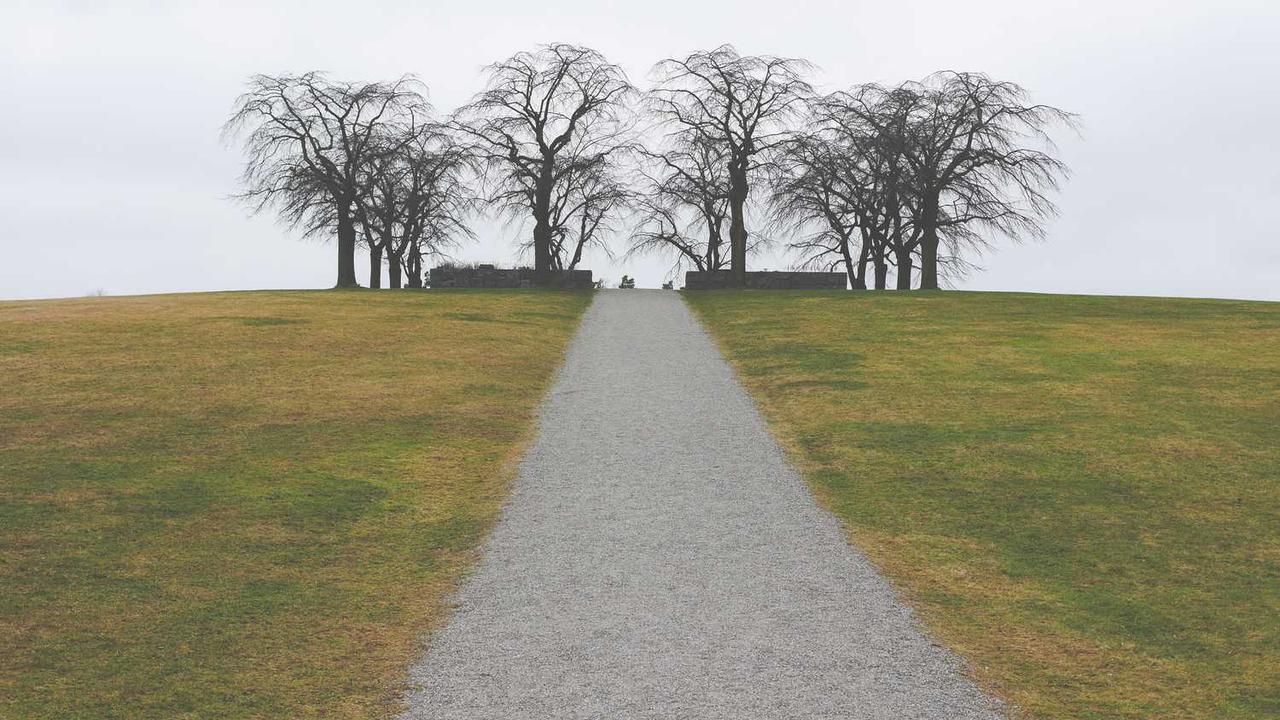 图片[2]-创业网：数字时代创新与商业的无缝连接-创业网 - 最新网络创业项目与实战营销教程平台 | cye.cc