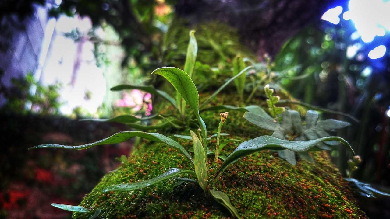 图片[2]-**”创业网：发掘数字时代的无限商业潜力与发展机遇”**-创业网 - 最新网络创业项目与实战营销教程平台 | cye.cc