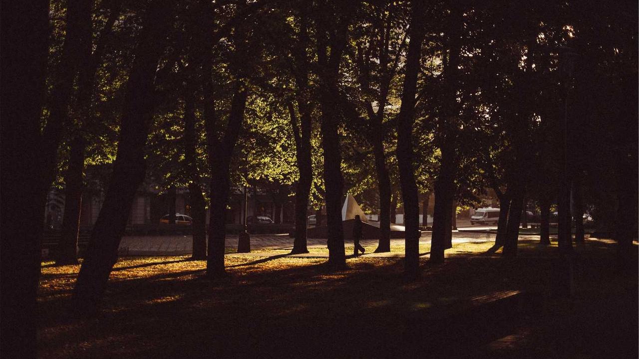 图片[2]-“构建高效创业网：数字时代的连接与创新驱动”-创业网 - 最新网络创业项目与实战营销教程平台 | cye.cc