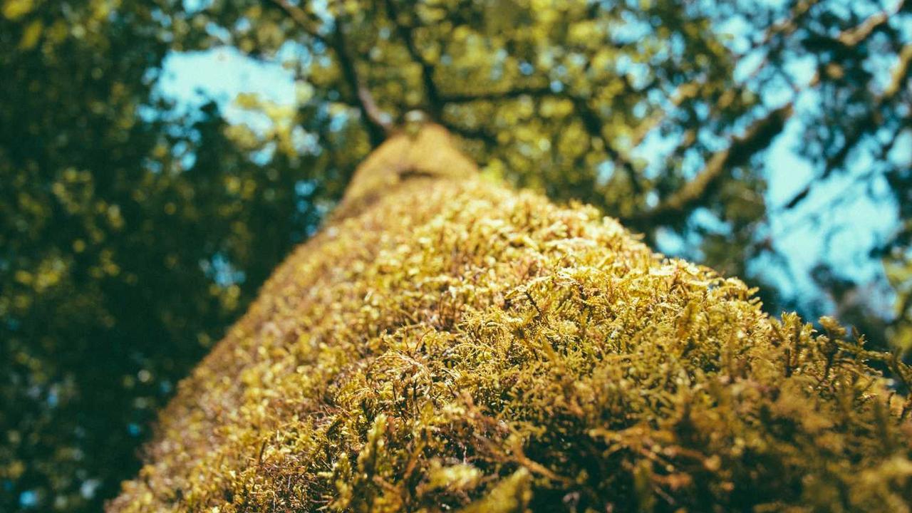 图片[2]-创业网：打造全方位在线创业生态平台的未来潜力与策略-创业网 - 最新网络创业项目与实战营销教程平台 | cye.cc