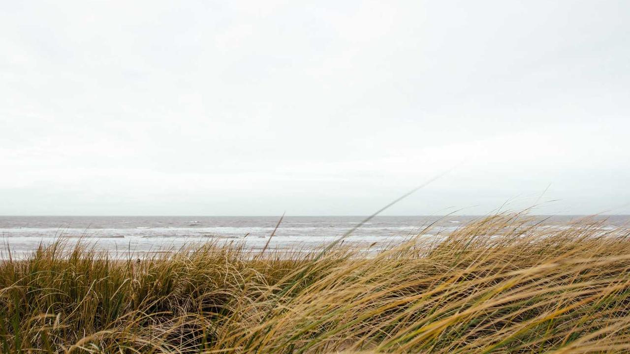 图片[2]-“创业网：数字时代创业者的聚集地与资源平台”-创业网 - 最新网络创业项目与实战营销教程平台 | cye.cc