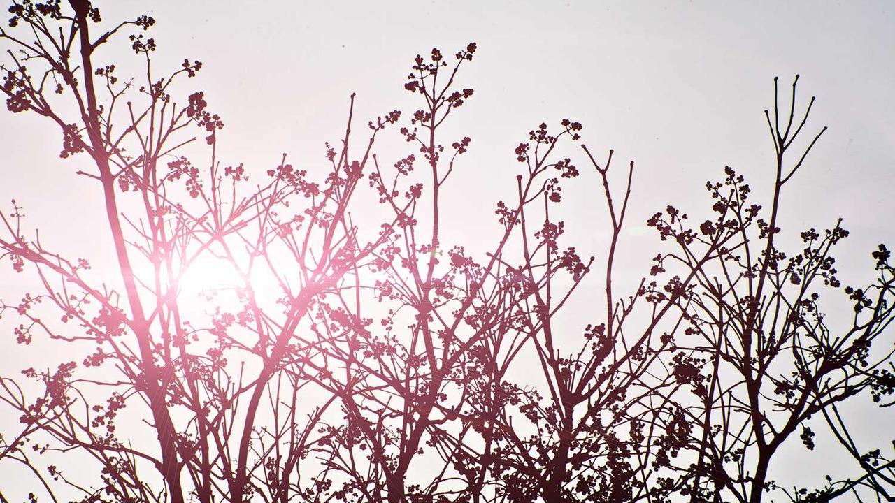 图片[2]-创业网：为新兴企业提供资源与支持的创新平台-创业网 - 最新网络创业项目与实战营销教程平台 | cye.cc