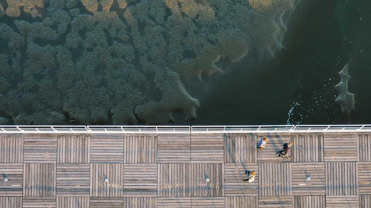 图片[3]-“创业网：开启在线创业新视野与商业机会”-创业网 - 最新网络创业项目与实战营销教程平台 | cye.cc