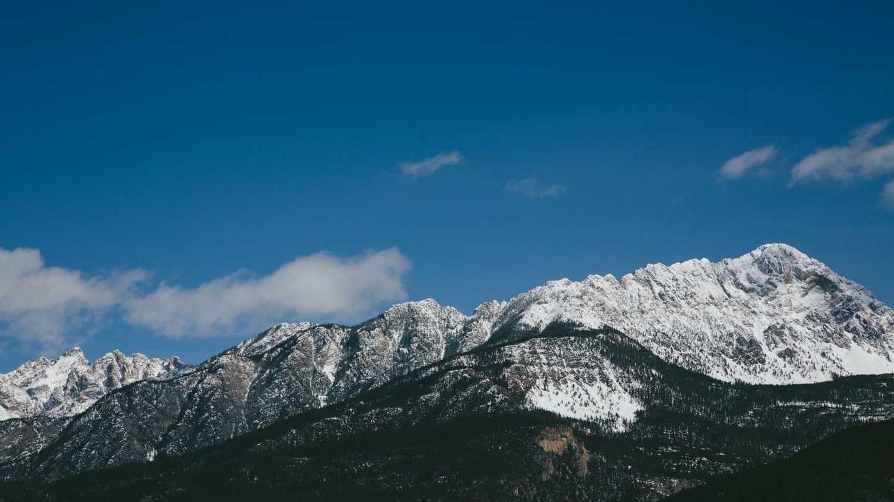 图片[3]-“创业网：解锁数字时代的创业资源与机遇”-创业网 - 最新网络创业项目与实战营销教程平台 | cye.cc