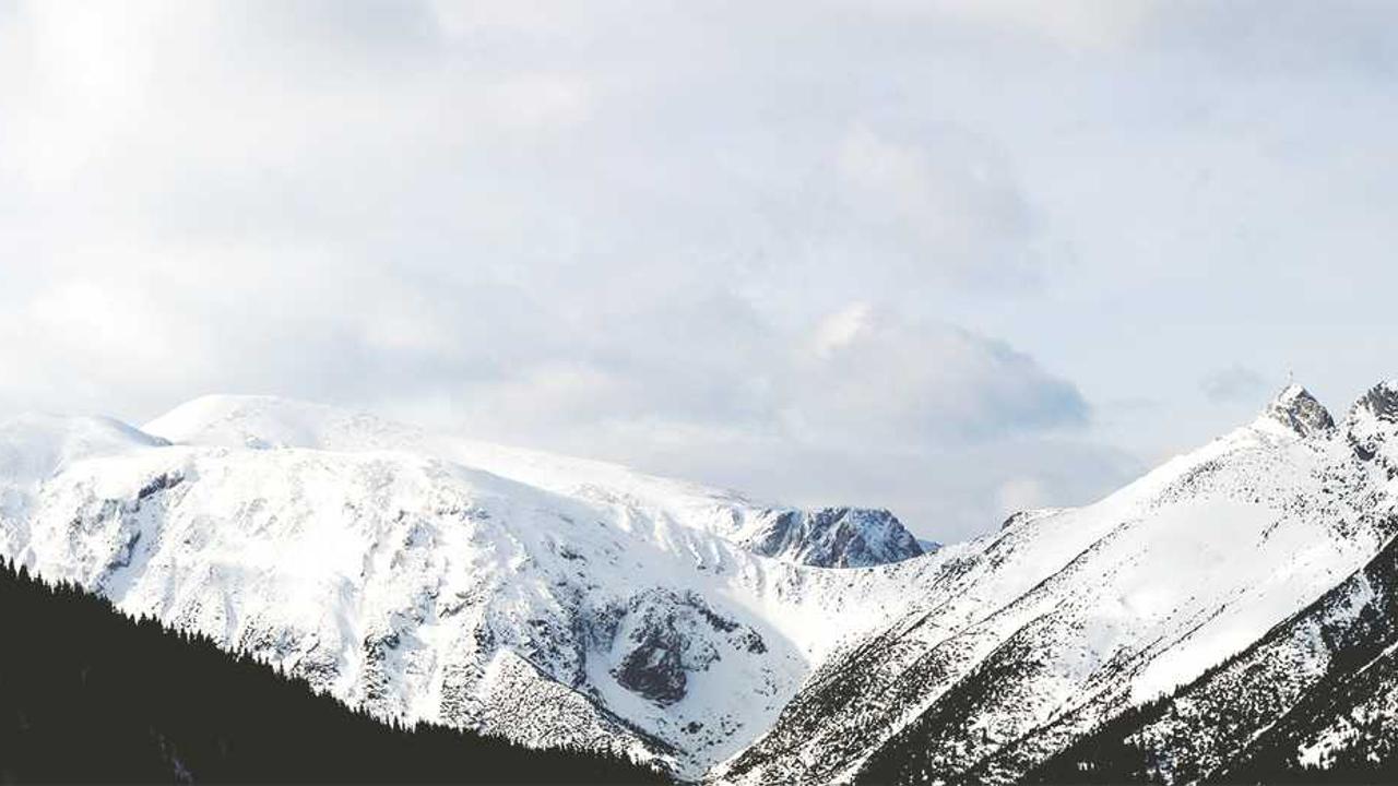 数字时代的创业网络：抓住机遇与应对挑战-创业网 - 最新网络创业项目与实战营销教程平台 | cye.cc