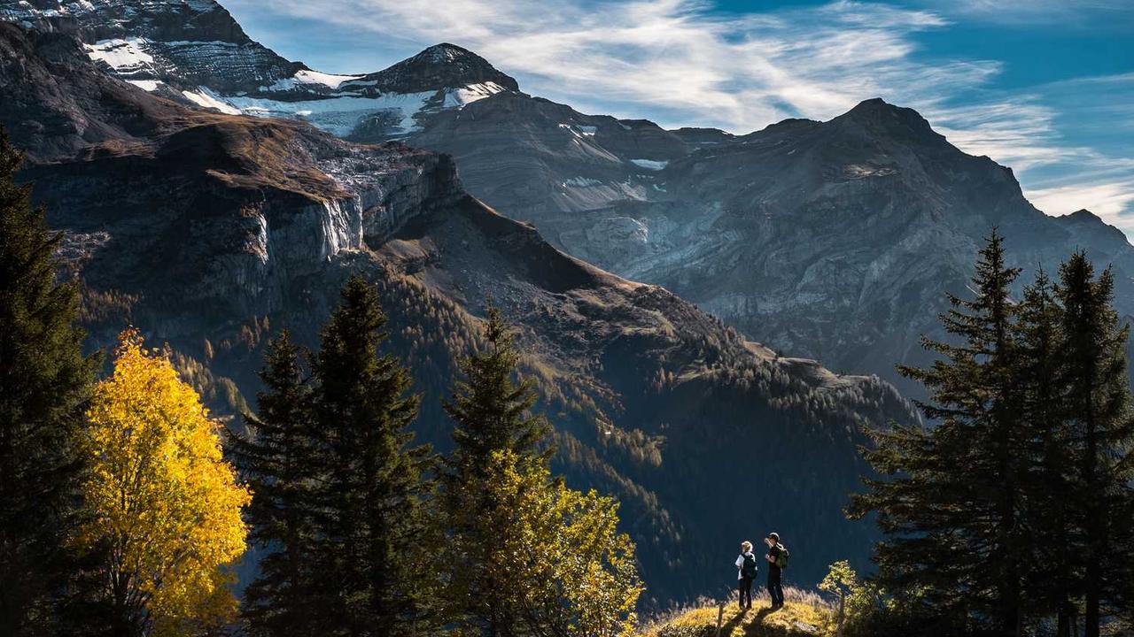 创业网：连接梦想与机会的平台探析-创业网 - 最新网络创业项目与实战营销教程平台 | cye.cc