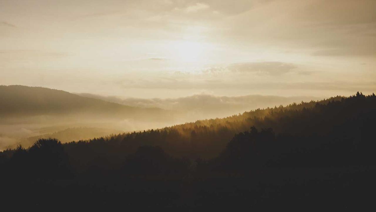 图片[2]-创业网时代：开启你的在线商业之旅与成功秘籍-创业网 - 最新网络创业项目与实战营销教程平台 | cye.cc