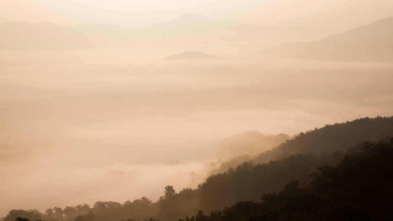 图片[2]-“创业网：重新定义商业模式与网络资源共享”-创业网 - 最新网络创业项目与实战营销教程平台 | cye.cc