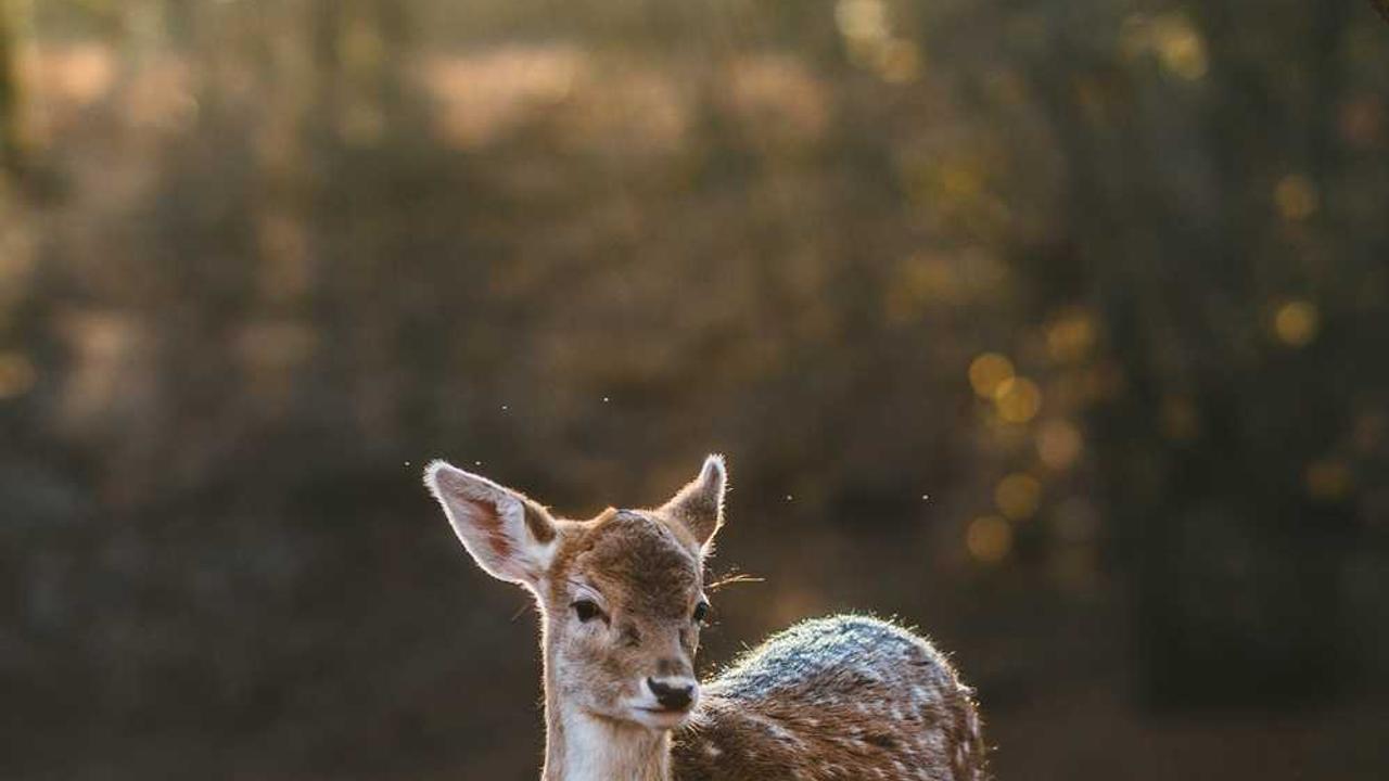 图片[2]-“创业网：连接梦想与机遇的在线平台”-创业网 - 最新网络创业项目与实战营销教程平台 | cye.cc