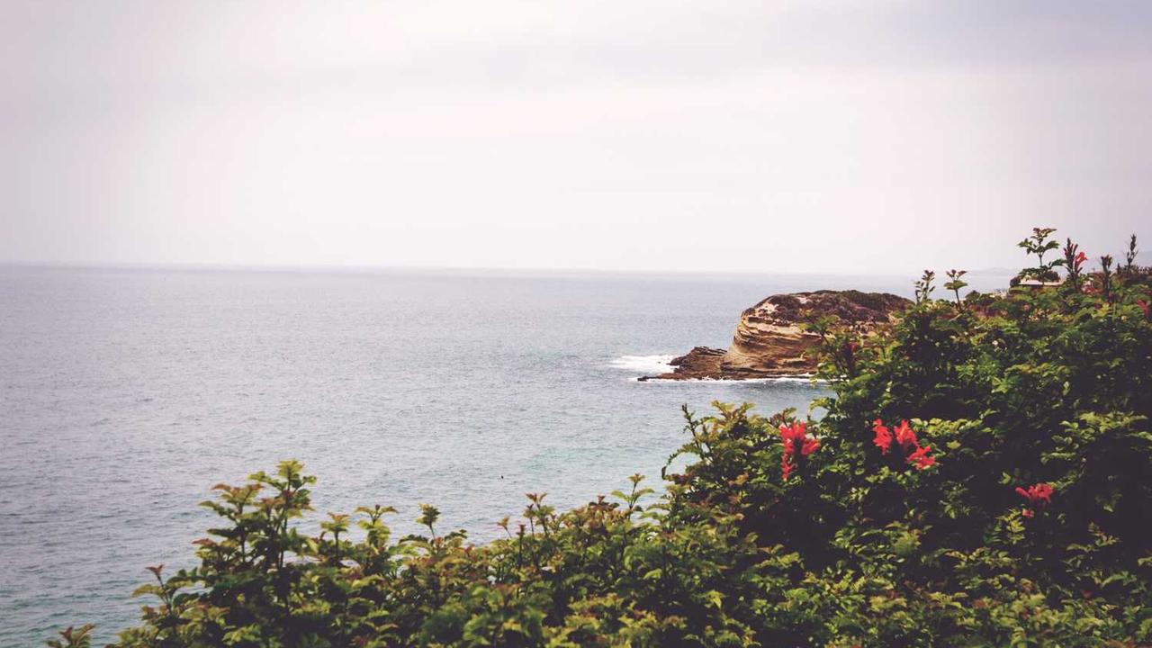 图片[2]-“创业网：全面解析数字时代创业机会与挑战”-创业网 - 最新网络创业项目与实战营销教程平台 | cye.cc