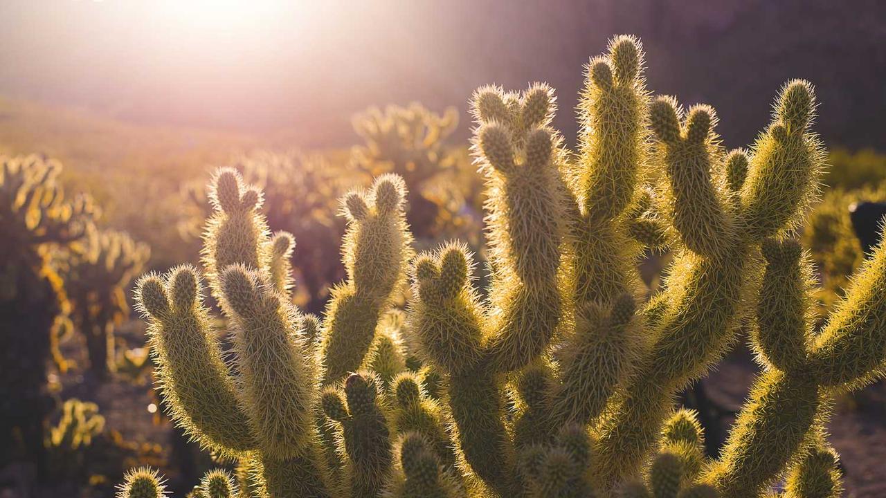 图片[2]-创业网：探索数字时代的创新商业模式与机遇-创业网 - 最新网络创业项目与实战营销教程平台 | cye.cc