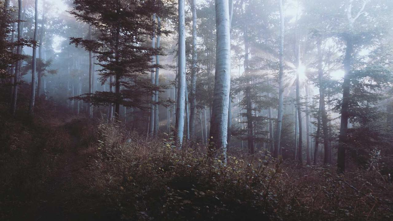 图片[3]-“创业网：数字时代的高效在线创业平台与生态构建”-创业网 - 最新网络创业项目与实战营销教程平台 | cye.cc