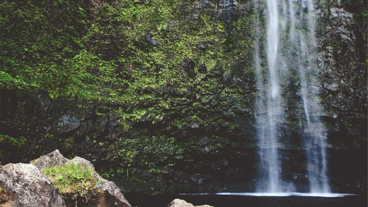 创业网：赋能新兴企业的数字化转型与创新驱动平台-创业网 - 最新网络创业项目与实战营销教程平台 | cye.cc
