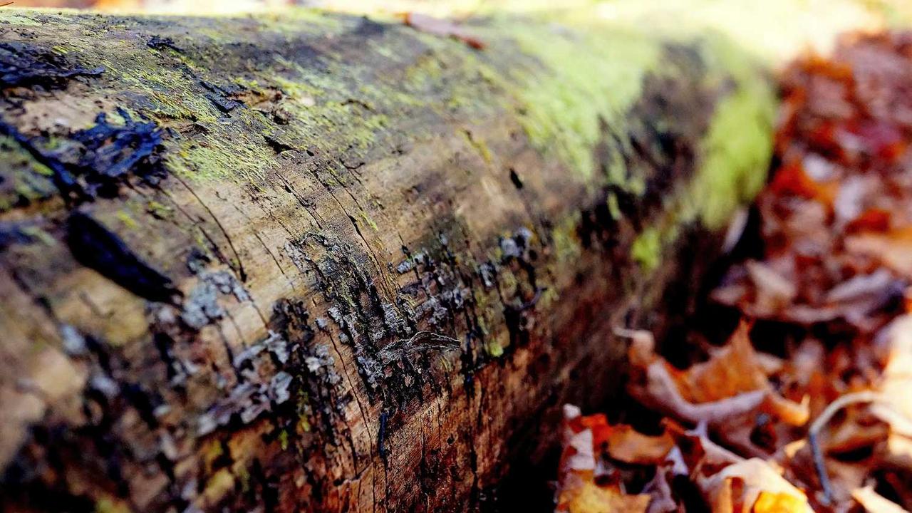 图片[3]-创业网：赋能新兴企业的数字化转型与创新驱动平台-创业网 - 最新网络创业项目与实战营销教程平台 | cye.cc