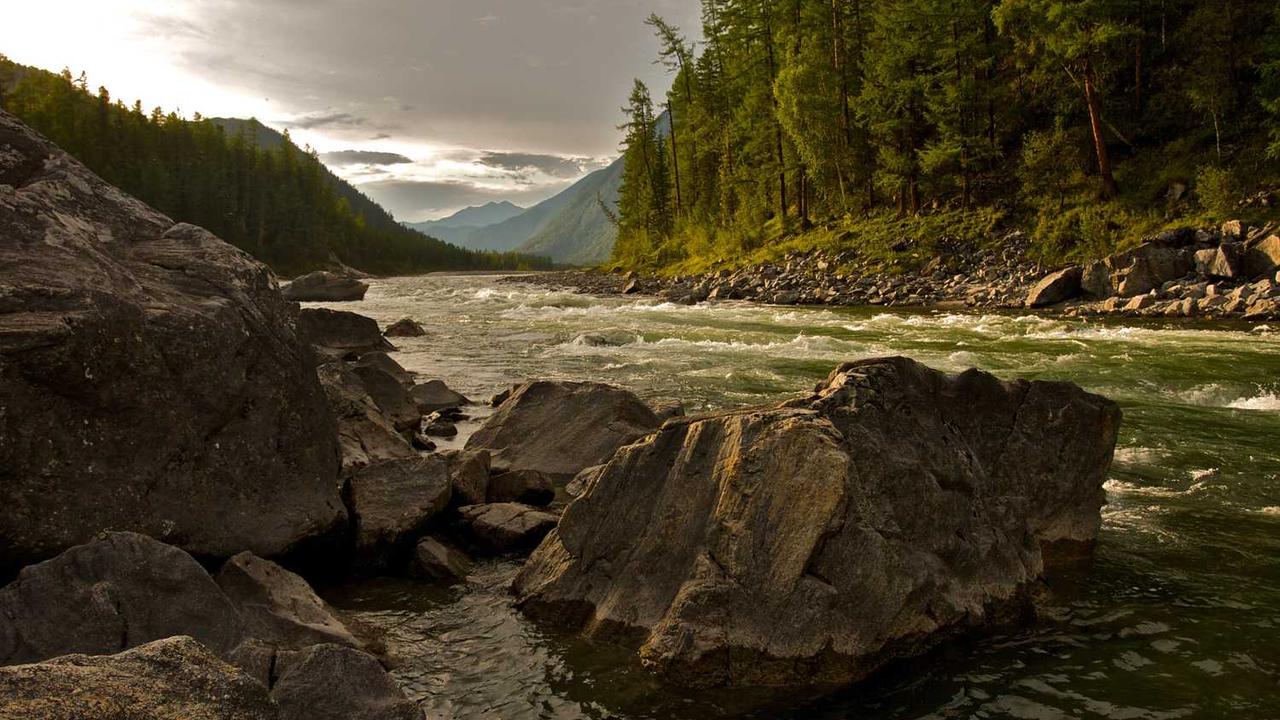 图片[3]-“创业网：构建数字化商业生态的创新路径与策略”-创业网 - 最新网络创业项目与实战营销教程平台 | cye.cc