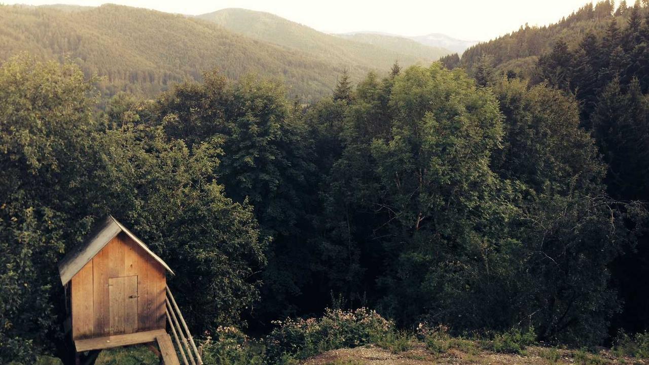 “创业网：开启线上创业的新机遇与策略”-创业网 - 最新网络创业项目与实战营销教程平台 | cye.cc