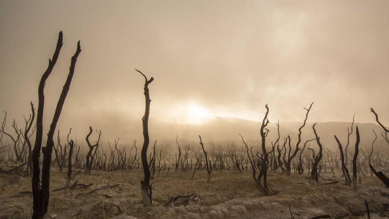 图片[2]-“创业网：构建创意与合作的数字生态圈”-创业网 - 最新网络创业项目与实战营销教程平台 | cye.cc