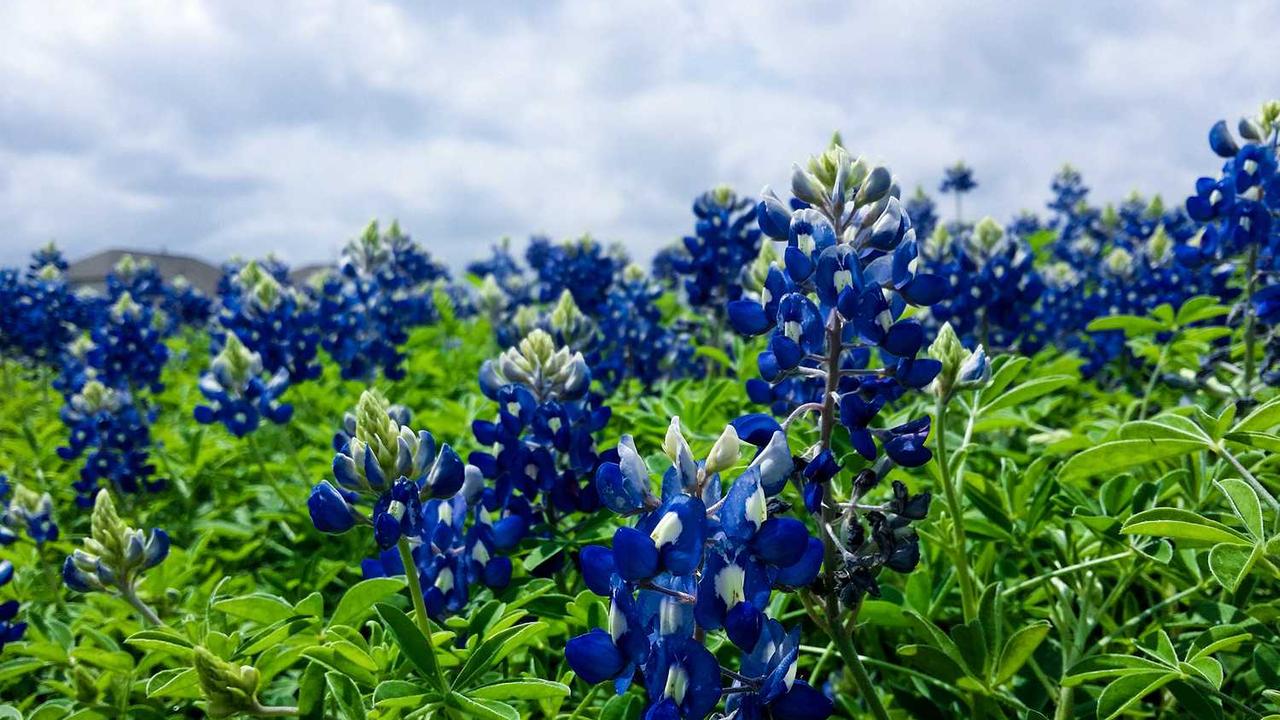 图片[3]-“创业网：构建创意与合作的数字生态圈”-创业网 - 最新网络创业项目与实战营销教程平台 | cye.cc