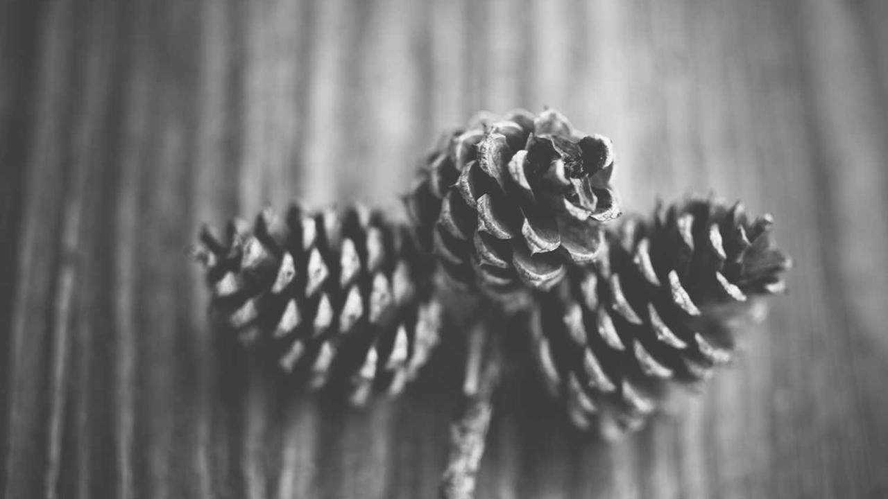 图片[2]-创业网：让梦想变为现实的在线平台与资源汇聚地-创业网 - 最新网络创业项目与实战营销教程平台 | cye.cc