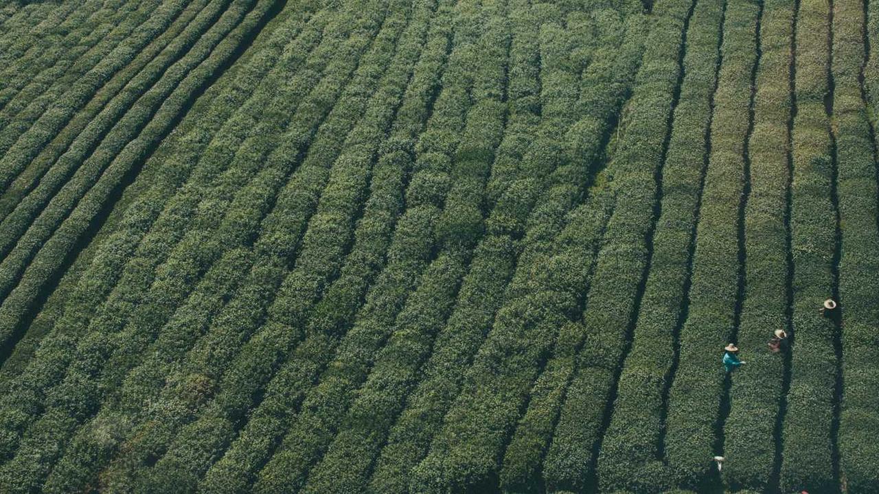 创业网：探索数字经济下的新兴商机与网络平台-创业网 - 最新网络创业项目与实战营销教程平台 | cye.cc