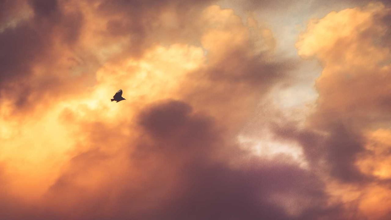 “创业网：打造数字时代的机会与成功之路”-创业网 - 最新网络创业项目与实战营销教程平台 | cye.cc