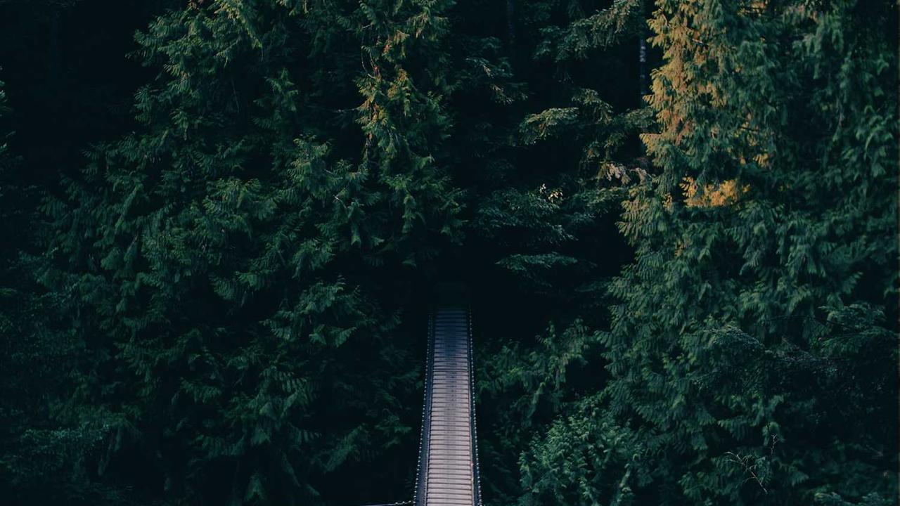 “创业网：开创数字时代的新商业模式与机遇”-创业网 - 最新网络创业项目与实战营销教程平台 | cye.cc