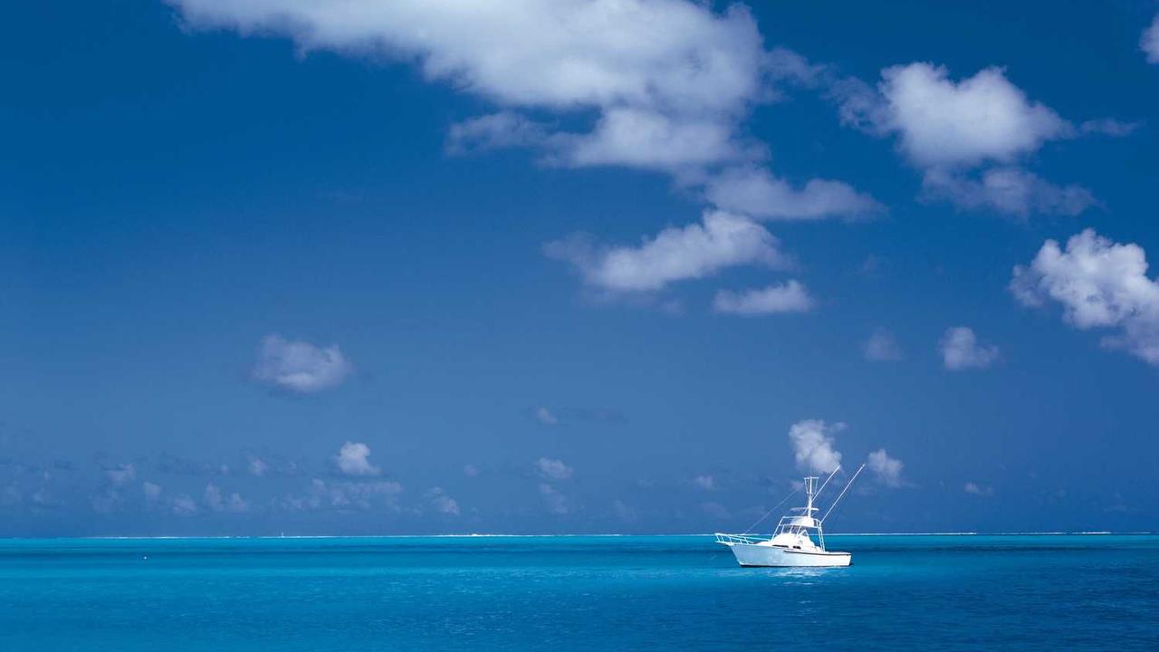 图片[3]-创业网：搭建梦想与实践的桥梁，实现你的商机潜能-创业网 - 最新网络创业项目与实战营销教程平台 | cye.cc