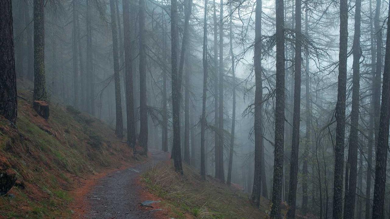 图片[2]-“创业网：数字时代创新与合作的在线平台”-创业网 - 最新网络创业项目与实战营销教程平台 | cye.cc