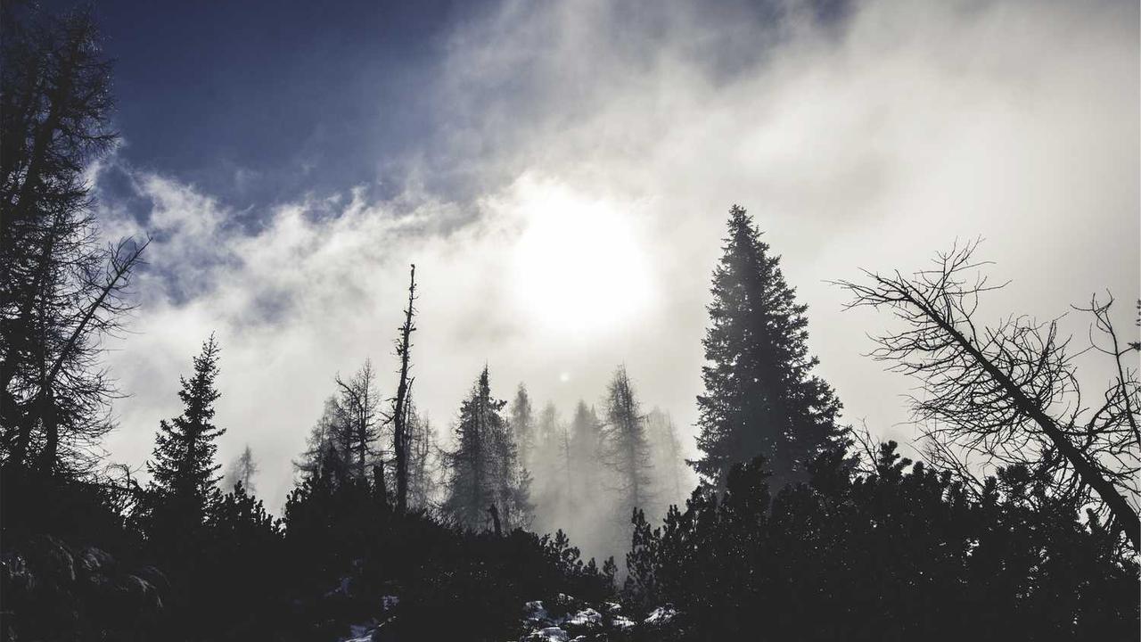 图片[3]-“创业网：连接创客与资源，助力创新与发展的平台”-创业网 - 最新网络创业项目与实战营销教程平台 | cye.cc