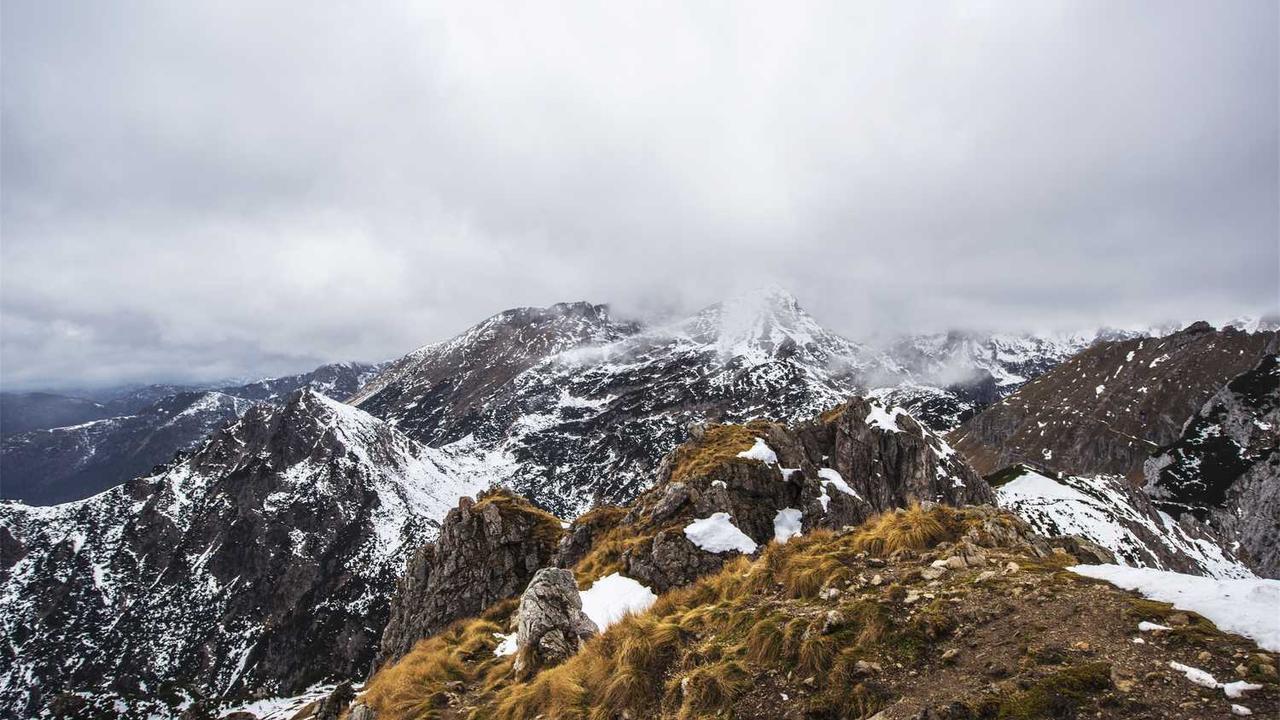 **“创业网：连接灵感与资源的高效平台探索”**-创业网 - 最新网络创业项目与实战营销教程平台 | cye.cc