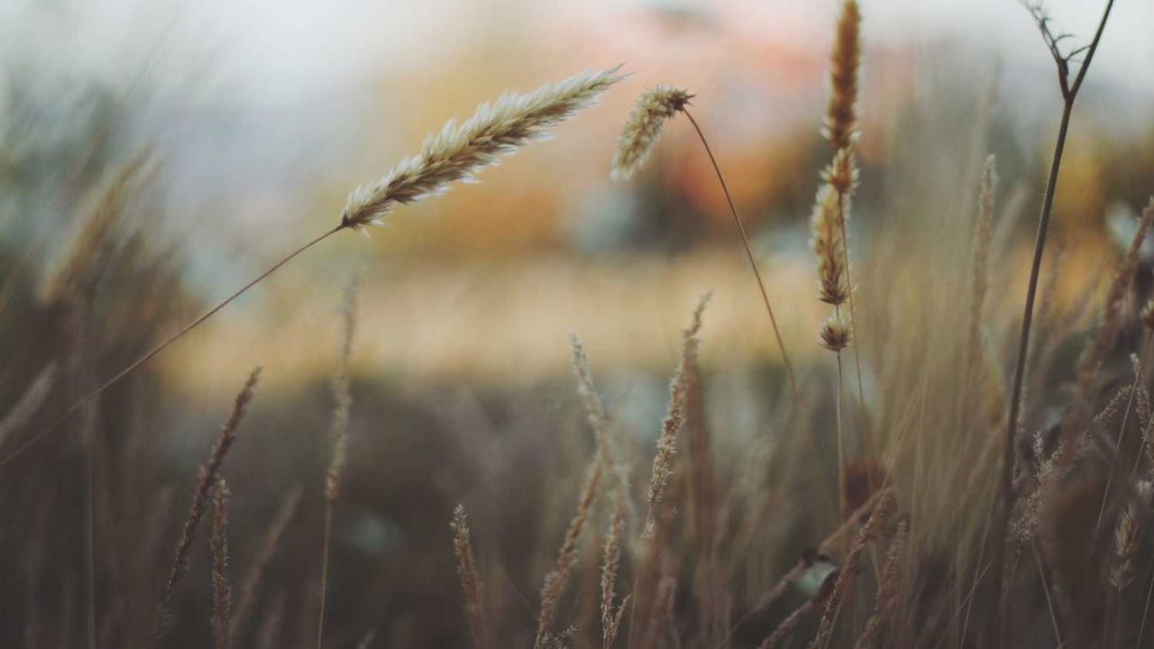 图片[2]-**“创业网：连接灵感与资源的高效平台探索”**-创业网 - 最新网络创业项目与实战营销教程平台 | cye.cc