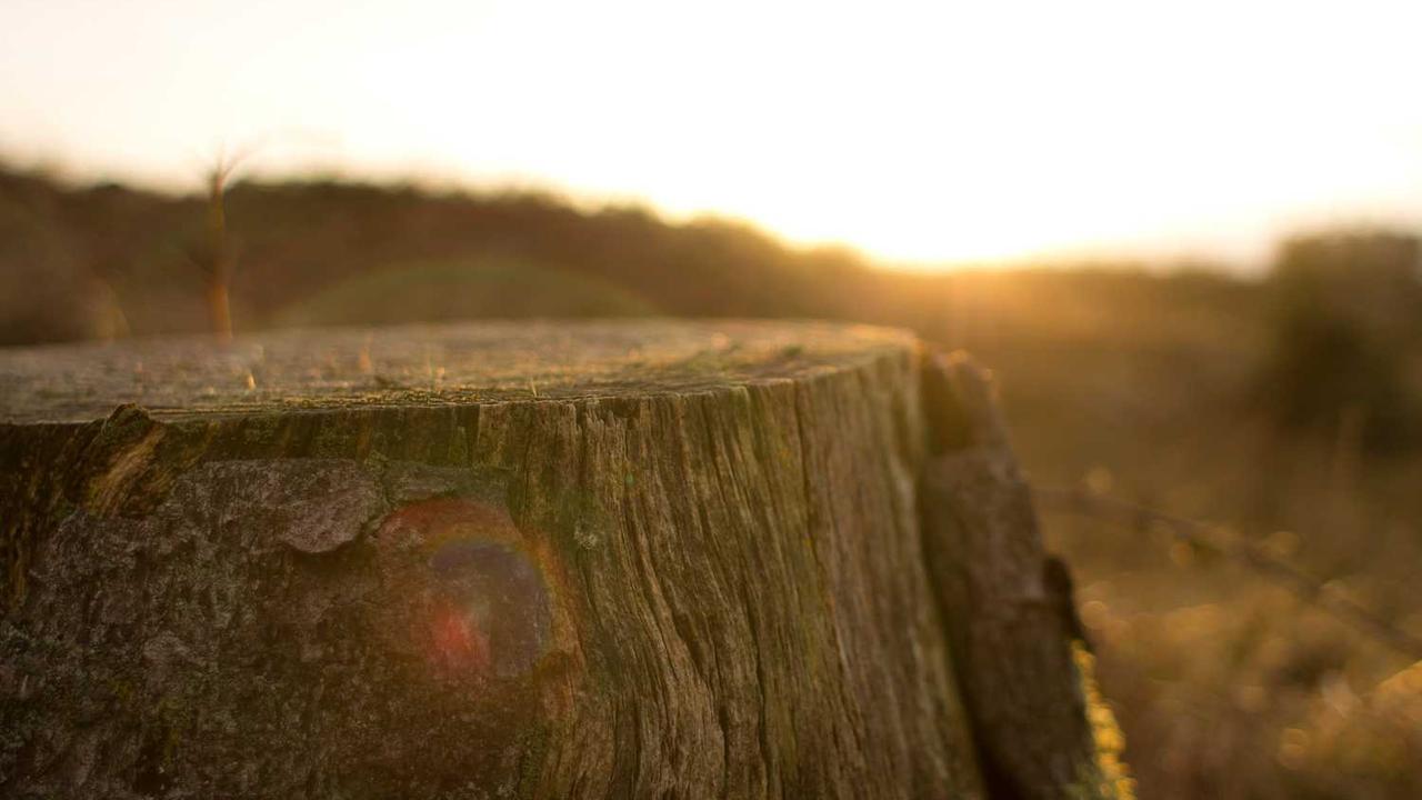 图片[2]-“创业网：数字化时代的创新合作平台构建与发展”-创业网 - 最新网络创业项目与实战营销教程平台 | cye.cc