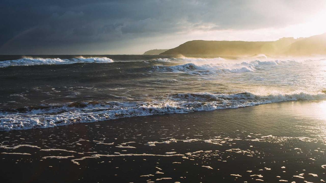 “创业网：连接创意与市场的多元化平台”-创业网 - 最新网络创业项目与实战营销教程平台 | cye.cc