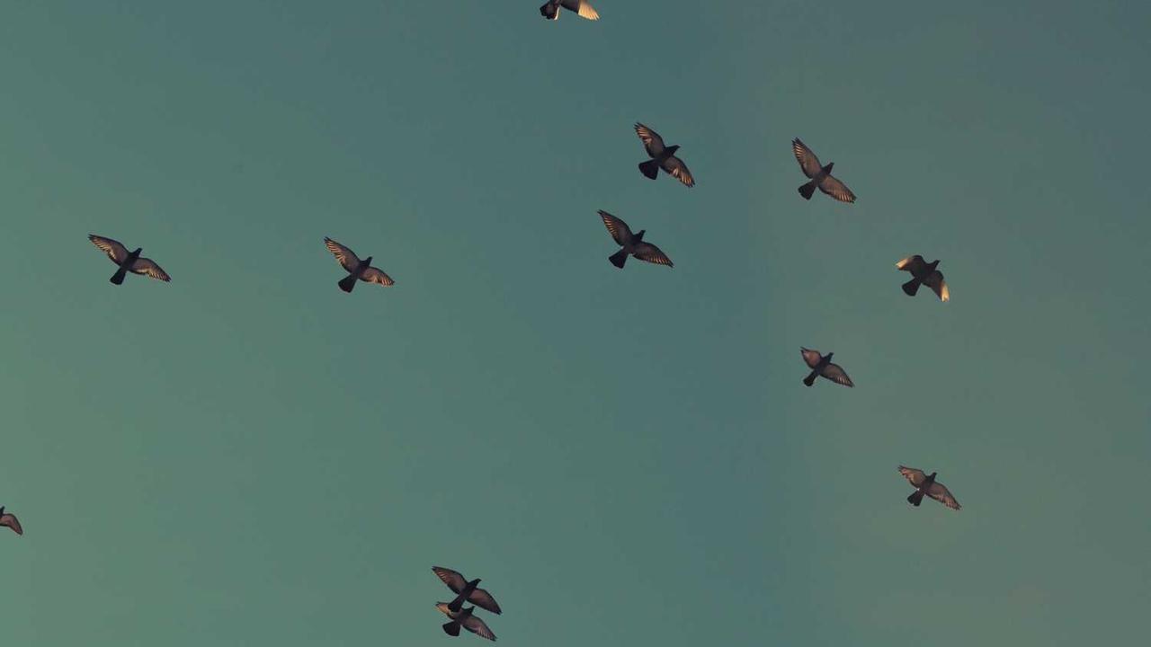 图片[3]-创业网：连接创新与资源的数字桥梁-创业网 - 最新网络创业项目与实战营销教程平台 | cye.cc