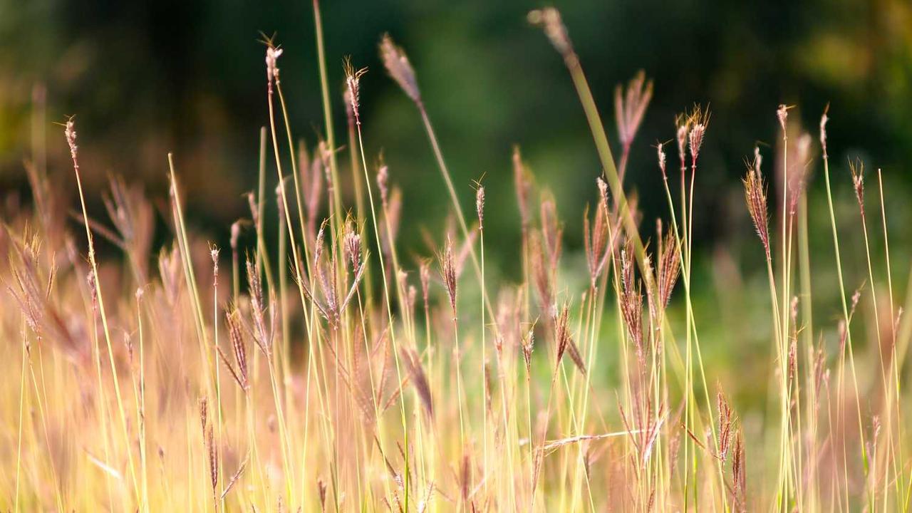 图片[2]-创业网：创造数字经济时代的新机遇与商业模式-创业网 - 最新网络创业项目与实战营销教程平台 | cye.cc