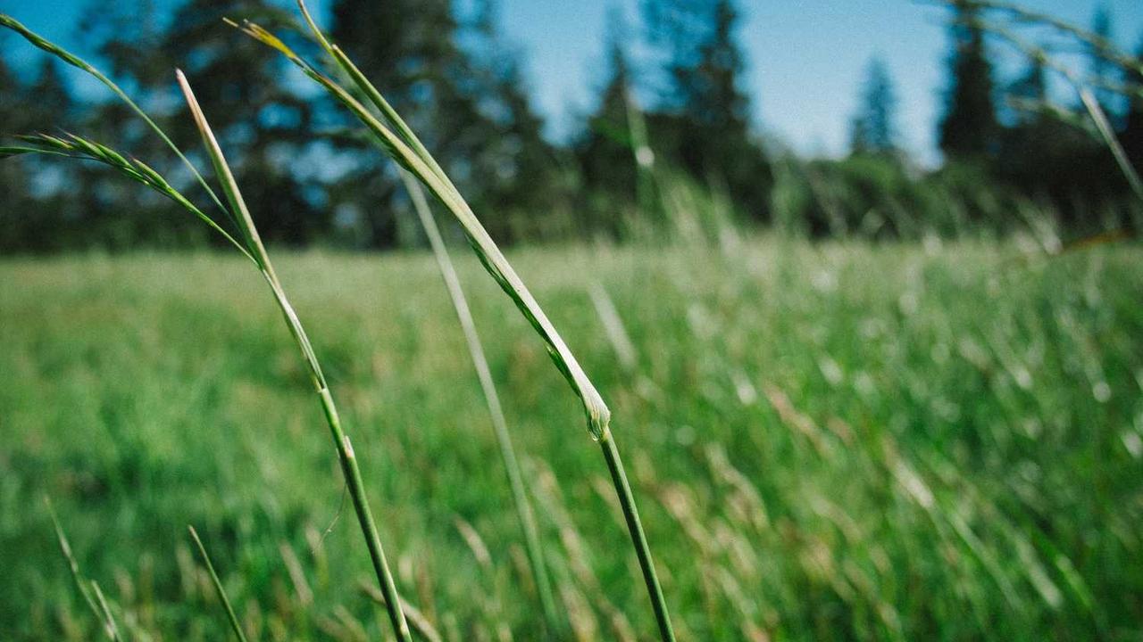 在创业网上打造成功的商业模式-创业网 - 最新网络创业项目与实战营销教程平台 | cye.cc