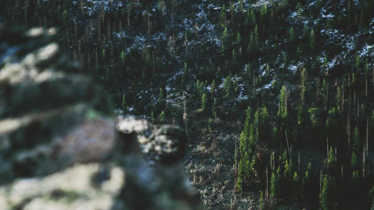 图片[3]-网络创业成功指南-创业网 - 最新网络创业项目与实战营销教程平台 | cye.cc