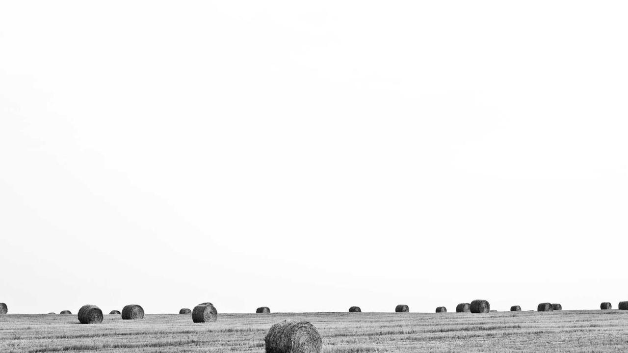 图片[2]-“创业网：开启创新与机遇的数字化新时代”-创业网 - 最新网络创业项目与实战营销教程平台 | cye.cc