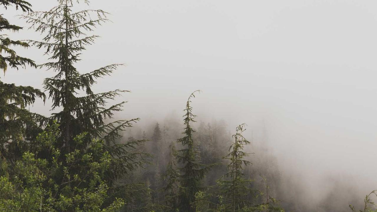 图片[3]-“创业网：数字时代灵活商业模式的新机遇”-创业网 - 最新网络创业项目与实战营销教程平台 | cye.cc