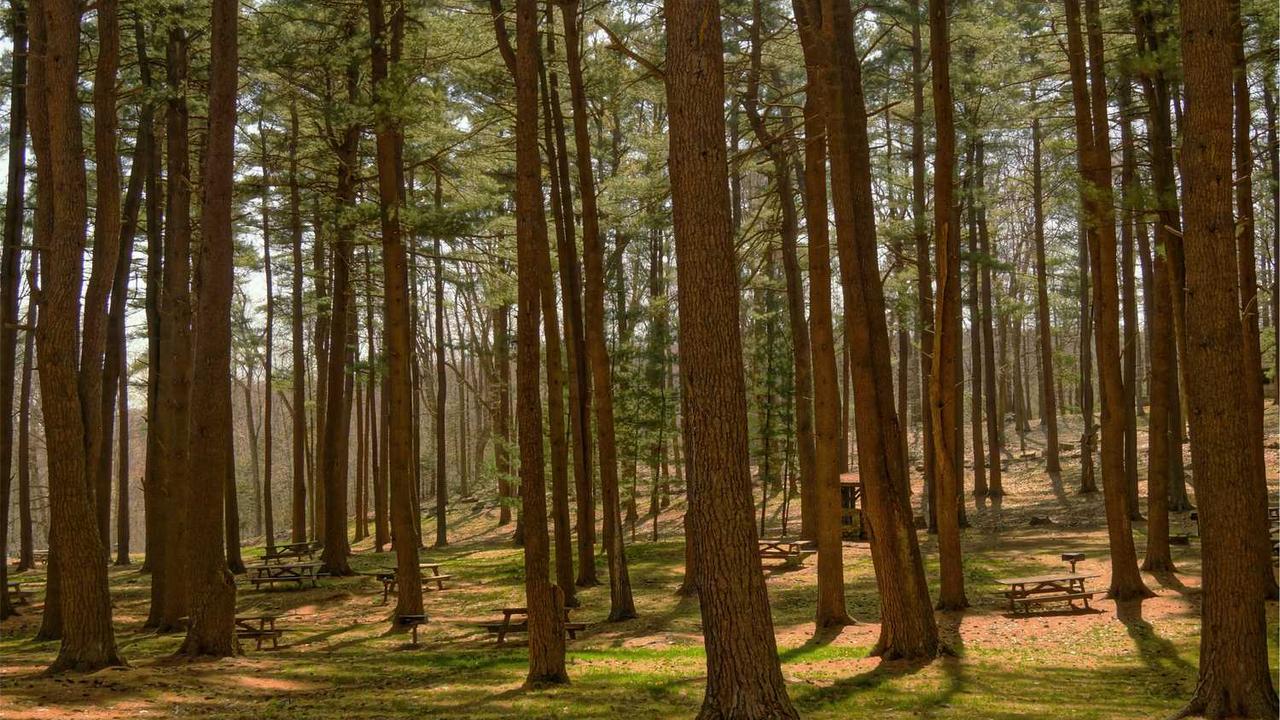 数字时代的创业网：机遇、挑战与创新路径-创业网 - 最新网络创业项目与实战营销教程平台 | cye.cc