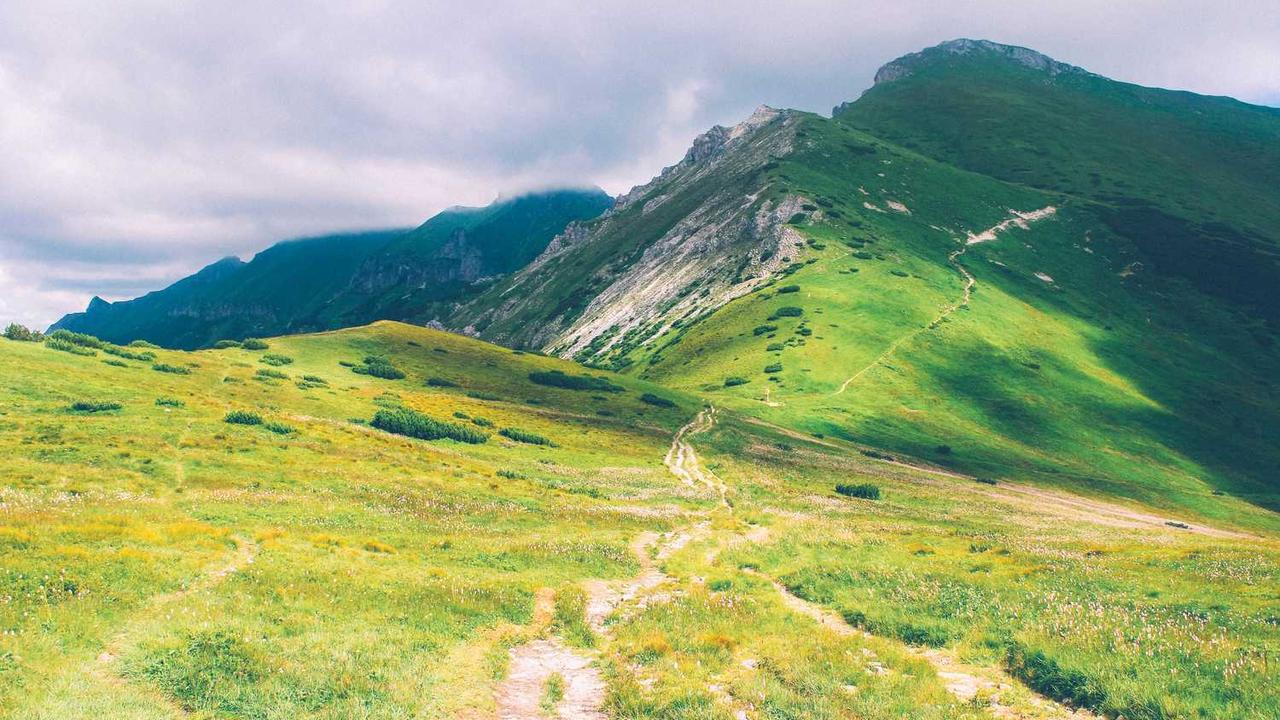 图片[2]-数字时代的创业网：机遇、挑战与创新路径-创业网 - 最新网络创业项目与实战营销教程平台 | cye.cc