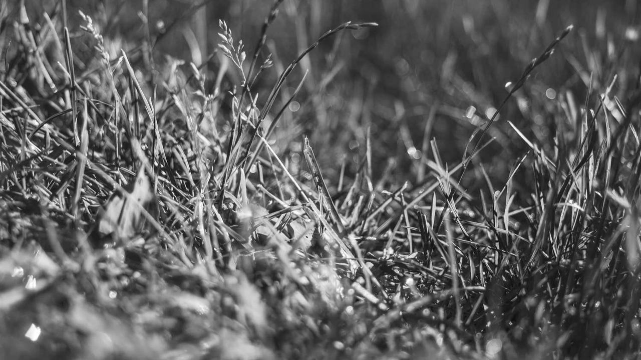 “创业网：数字时代的创新平台与商业生态构建”-创业网 - 最新网络创业项目与实战营销教程平台 | cye.cc