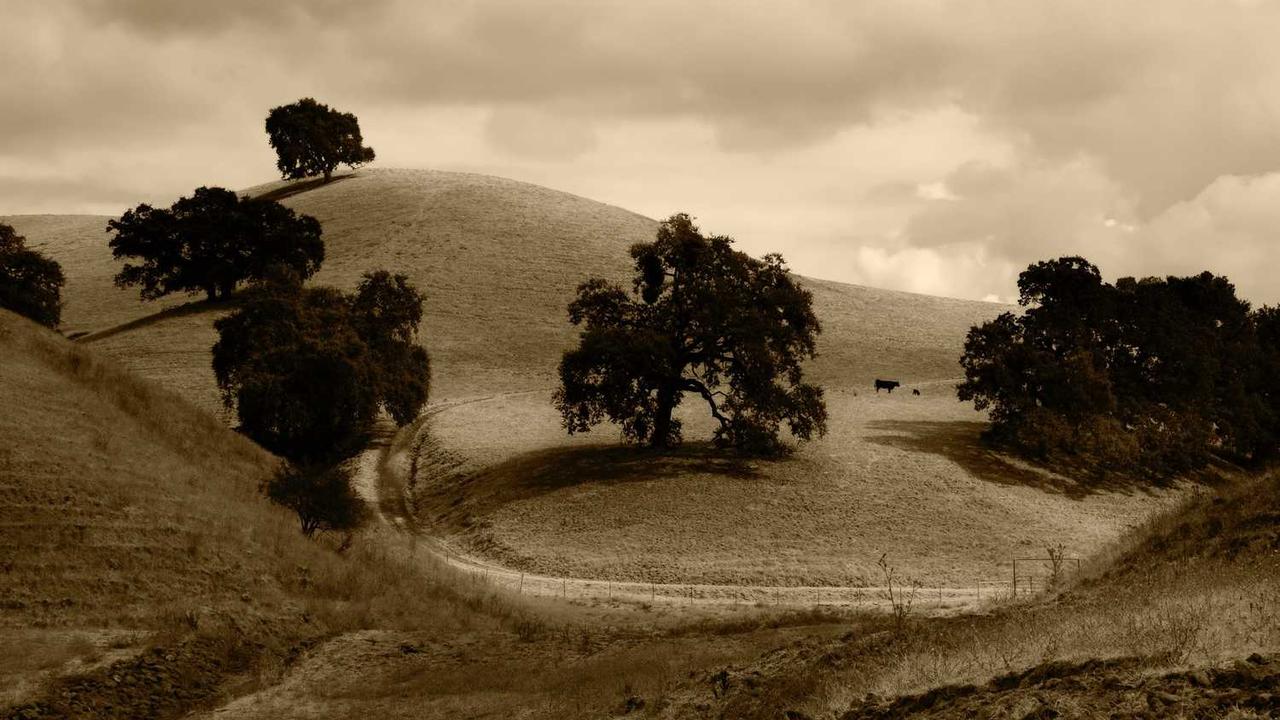 图片[2]-“创业网：数字时代的创新平台与商业生态构建”-创业网 - 最新网络创业项目与实战营销教程平台 | cye.cc