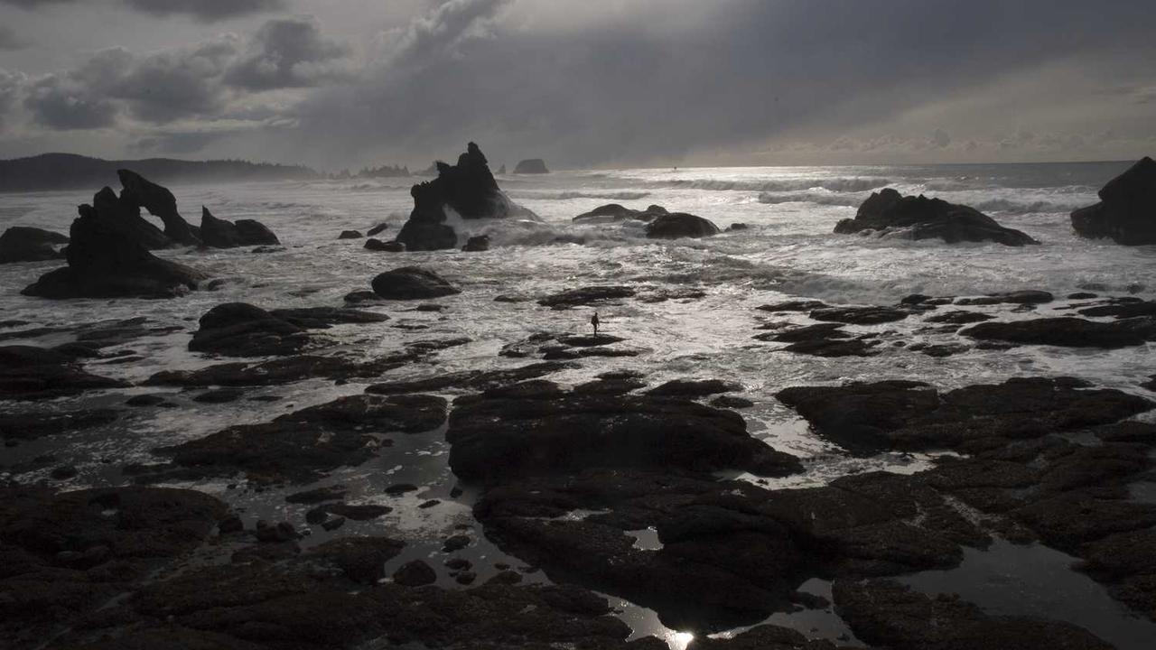 创业网：趋势、机会与成功秘诀-创业网 - 最新网络创业项目与实战营销教程平台 | cye.cc