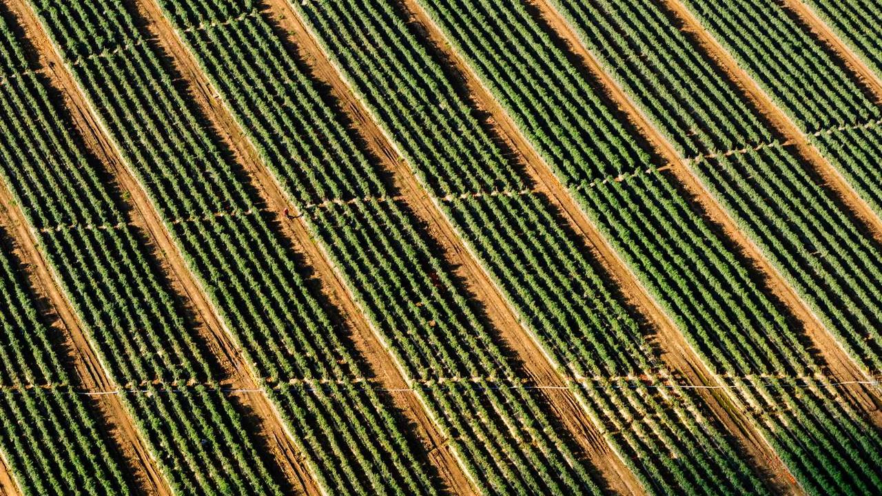 “创业网：打造创新与合作的商业生态平台”-创业网 - 最新网络创业项目与实战营销教程平台 | cye.cc