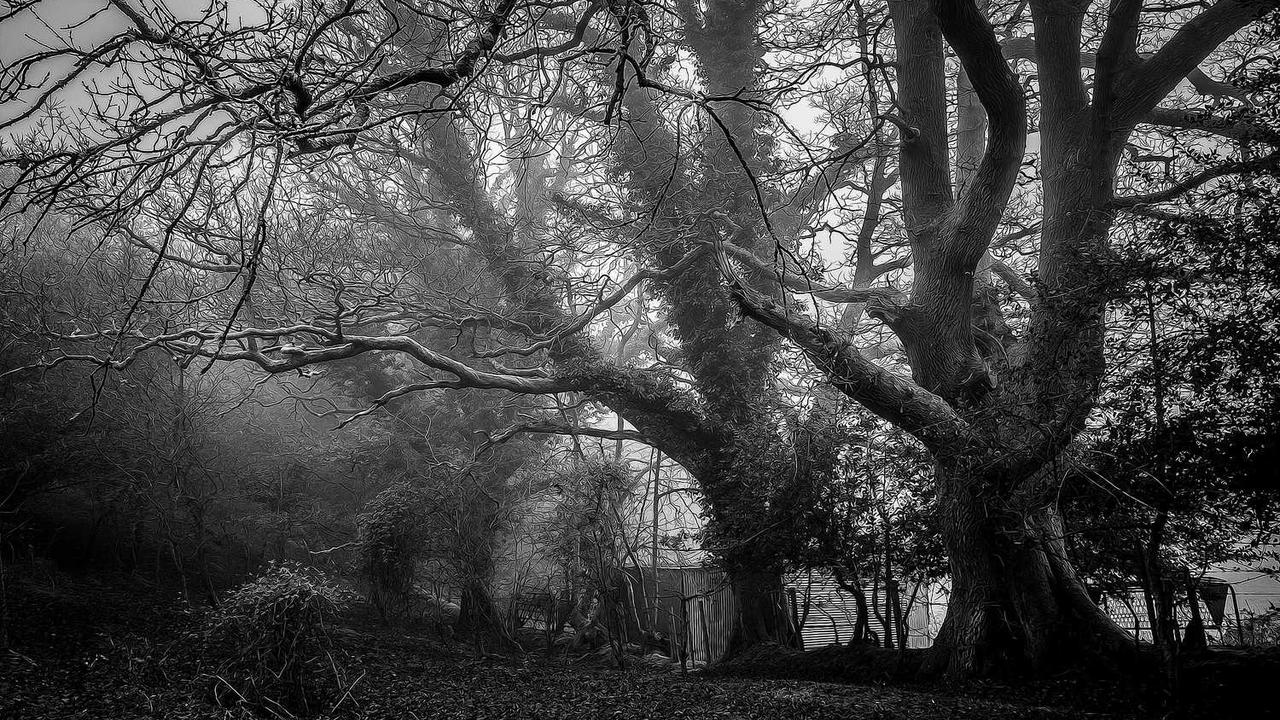 “创业网：数字时代的多元机遇平台”-创业网 - 最新网络创业项目与实战营销教程平台 | cye.cc